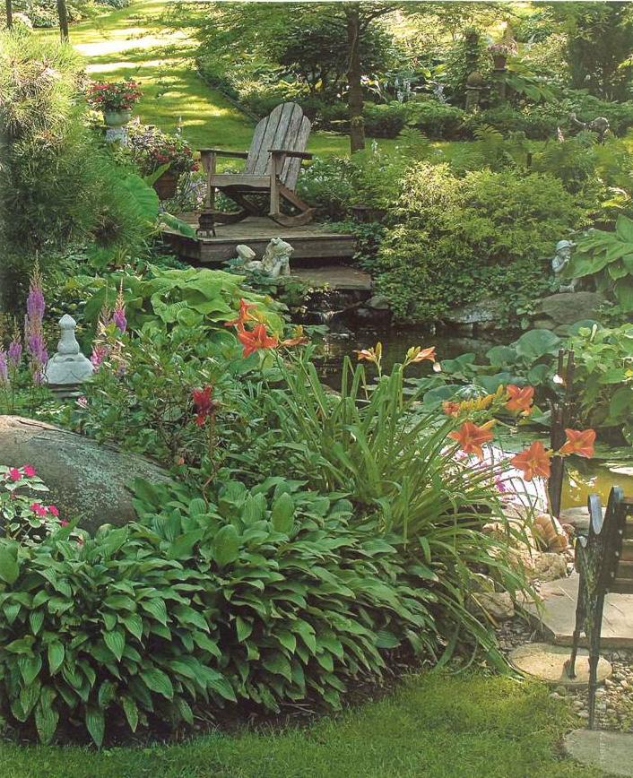 plantas jardim sombra:as fotos de jardim mostram como fica um jardim cultivado plantas jardim sombra:as fotos de jardim mostram como fica um jardim cultivado