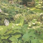 jardins-de-sombra3